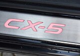 DSC_0010 (Custom).JPG