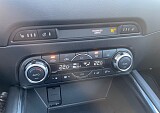 IMG_0213.jpg