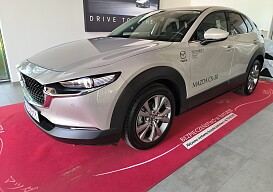 IMG_20230527_125511_1.jpg
