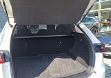 20230713_160557.jpg