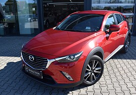 DSC_0004 (Large).JPG