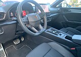 IMG_4945.JPG