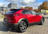 IMG_9279.JPG