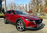 IMG_9289.JPG