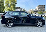IMG_7824.JPG