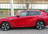 IMG_20240227_142456.jpg