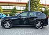 IMG_7814.JPG