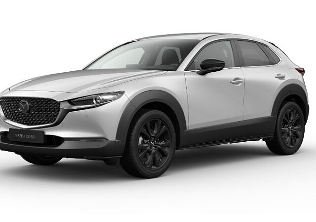 CX-30 Hom - ceramic.JPG