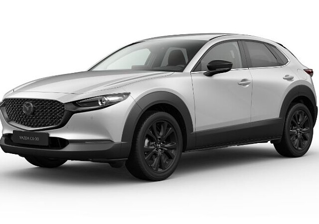 CX-30 NAGISA ceramic.JPG