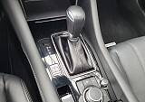 20241107_113755.jpg