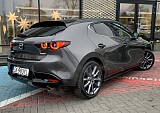 IMG_5843.JPG