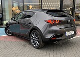 IMG_5835.JPG