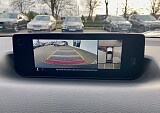 IMG_9612.jpg