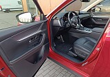 134615_06160_1828d555-1037-4980-ab0e-9a2e3129a7a8.JPEG