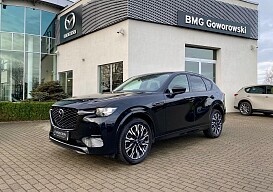 IMG_9677.jpg