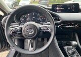 IMG_9396.jpg