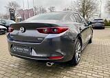IMG_9415.jpg