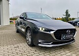 IMG_9388.jpg
