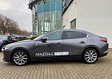 IMG_9390.jpg