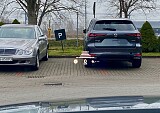 IMG_9406.jpg