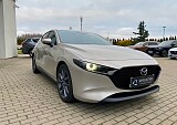 IMG_9463.jpg
