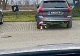 IMG_9478.jpg