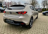 IMG_9486.jpg
