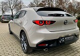 IMG_9485.jpg