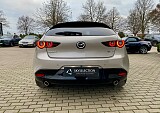 IMG_9484.jpg