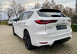 IMG_9453.jpg