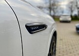 IMG_9456.jpg