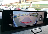 IMG_20240408_140131.jpg
