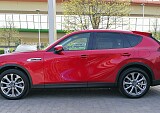 IMG_20240408_135434.jpg