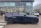 IMG_3244.JPEG