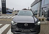 20241230_104932.jpg