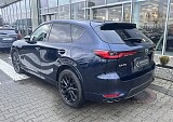 IMG_3237.JPEG
