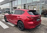 IMG_3334 — kopia.JPEG