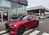 IMG_3330.JPEG