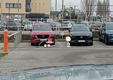 132319_08340_c65e12f9-2c9b-44a1-96ea-26b364ea2d27.JPEG