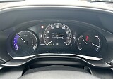 IMG_4419.JPG