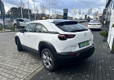 IMG_4425.JPG