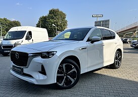 IMG_8169.JPG