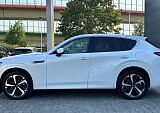IMG_8179.JPG