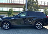 IMG_8125.JPG