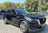 IMG_8142.JPG