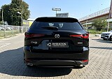 IMG_8119.JPG