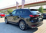 IMG_8128.JPG