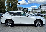 IMG_8504.JPG