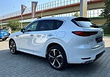 IMG_8183.JPG
