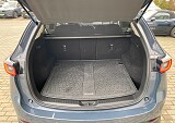 IMG_9910.jpg